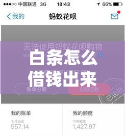 白条怎么借钱出来白条跟商家套现 有什么风险么，白条怎么借钱出来