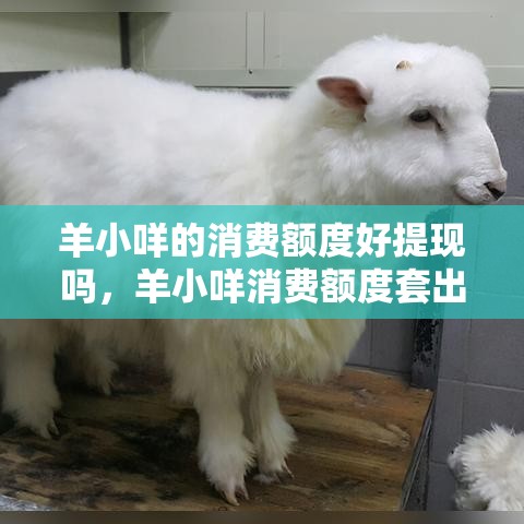 羊小咩的消费额度好提现吗,羊小咩消费额度套出来