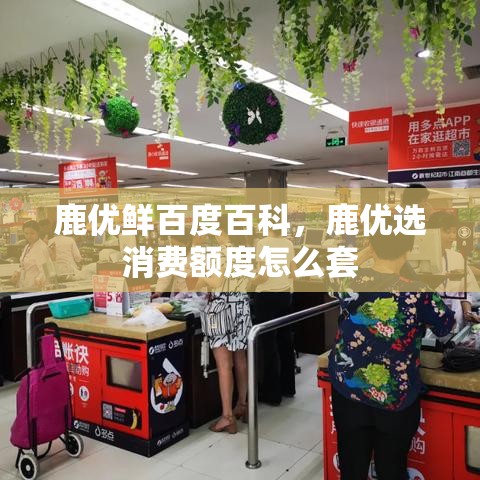 鹿优鲜百度百科,鹿优选消费额度怎么套