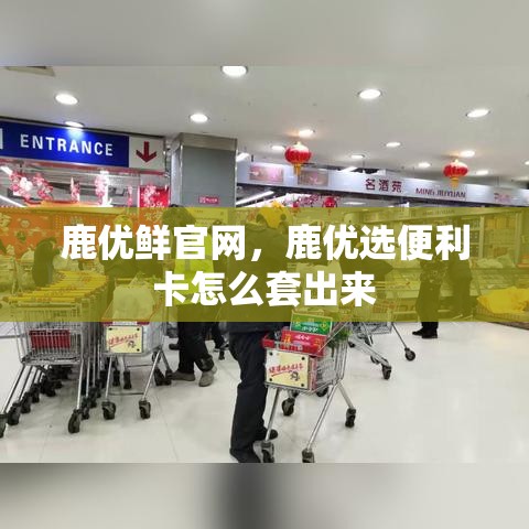 纵横短剧，得贡献值，永久分红