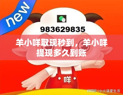 羊小咩取现秒到，羊小咩提现多久到账