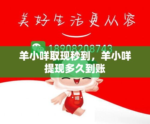 羊小咩取现秒到,羊小咩提现多久到账