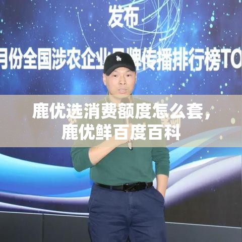 鹿优选消费额度怎么套，鹿优鲜百度百科