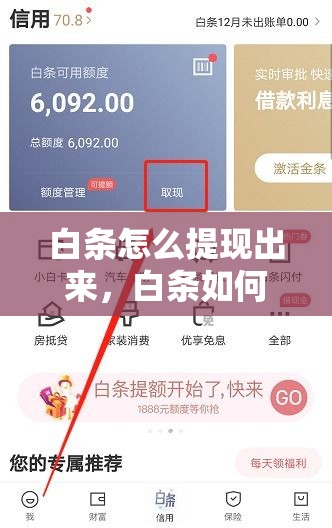 白条怎么提现出来,白条如何提现出来