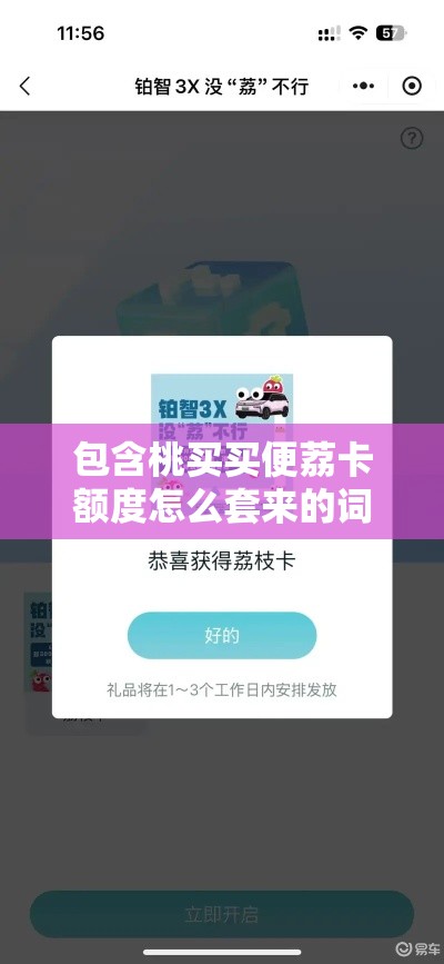 包含桃买买便荔卡额度怎么套来的词条