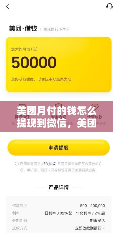 分期乐怎么借钱出来,分期乐咋样借钱