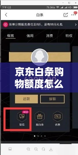 京东白条购物额度怎么刷出来,京东白条额度如何刷出来