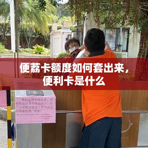 便荔卡额度如何套出来,便利卡是什么
