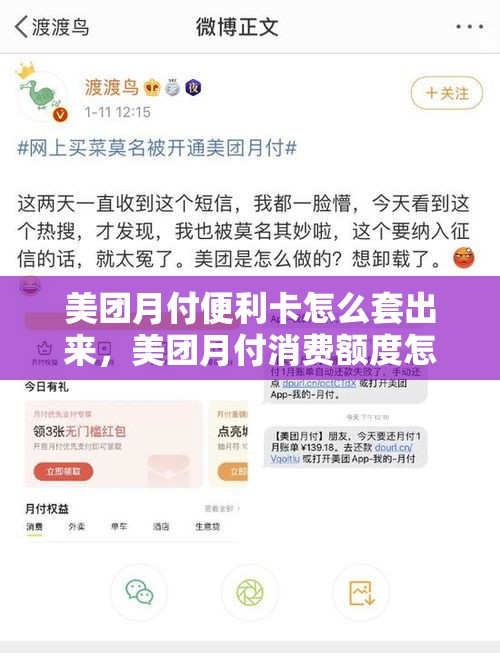 美团月付便利卡怎么套出来,美团月付消费额度怎么套现