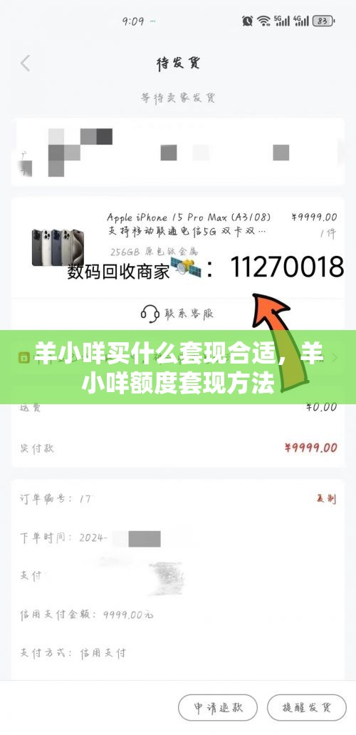羊小咩买什么套现合适,羊小咩额度套现方法