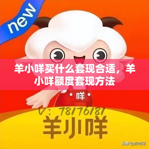 羊小咩买什么套现合适，羊小咩额度套现方法
