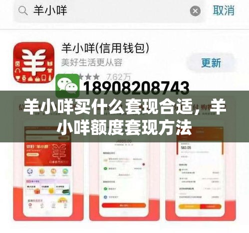 羊小咩买什么套现合适,羊小咩额度套现方法