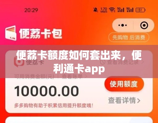便荔卡额度如何套出来,便利通卡app