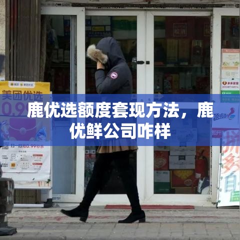 鹿优选额度套现方法,鹿优鲜公司咋样