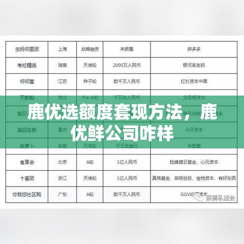 鹿优选额度套现方法,鹿优鲜公司咋样