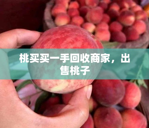 桃买买一手回收商家，出售桃子
