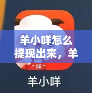 羊小咩怎么提现出来，羊小咩便荔卡额度怎么秒到