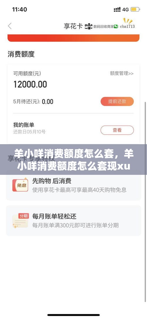 羊小咩消费额度怎么套,羊小咩消费额度怎么套现xu安诚小铺ut助富掌柜