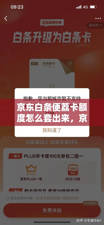 京东白条便荔卡额度怎么套出来，京东白条卡便捷面签