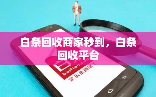 白条回收商家秒到，白条回收平台