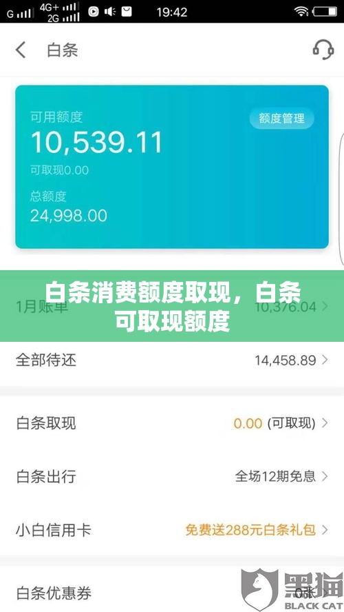 白条消费额度取现，白条可取现额度
