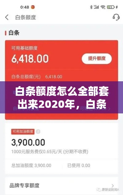 白条额度怎么全部套出来2020年，白条消费额度怎么套