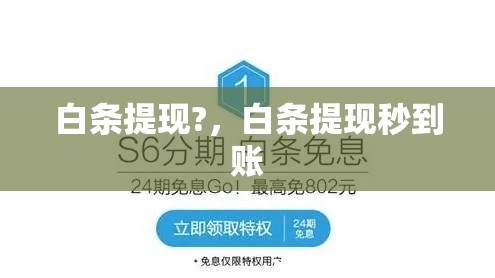 白条提现?，白条提现秒到账