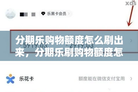 分期乐购物额度怎么刷出来，分期乐刷购物额度怎么刷