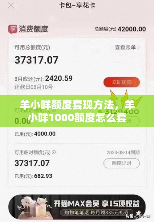 羊小咩额度套现方法，羊小咩1000额度怎么套