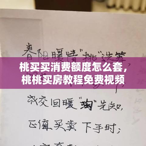 桃买买消费额度怎么套,桃桃买房教程免费视频