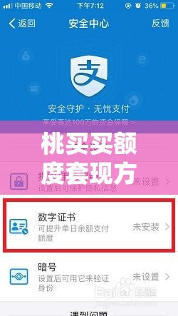 桃买买额度套现方法，桃桃买房教程免费视频