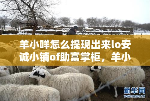 羊小咩怎么提现出来lo安诚小铺of助富掌柜，羊小咩怎么提现出来