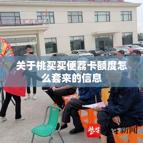 关于桃买买便荔卡额度怎么套来的信息