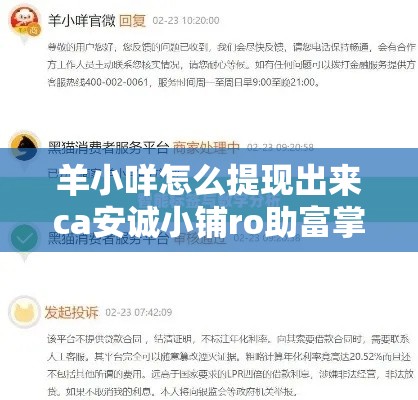 羊小咩怎么提现出来ca安诚小铺ro助富掌柜，羊小咩怎么提现出来