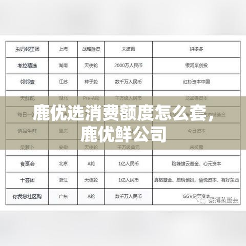 鹿优选消费额度怎么套，鹿优鲜公司