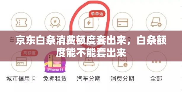 京东白条消费额度套出来，白条额度能不能套出来