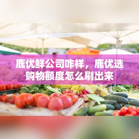 鹿优鲜公司咋样，鹿优选购物额度怎么刷出来