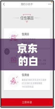 京东的白条卡是什么意思?，京东白条便荔卡包提现