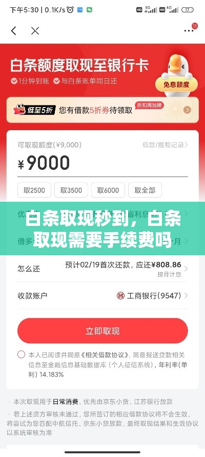 白条取现秒到,白条取现需要手续费吗