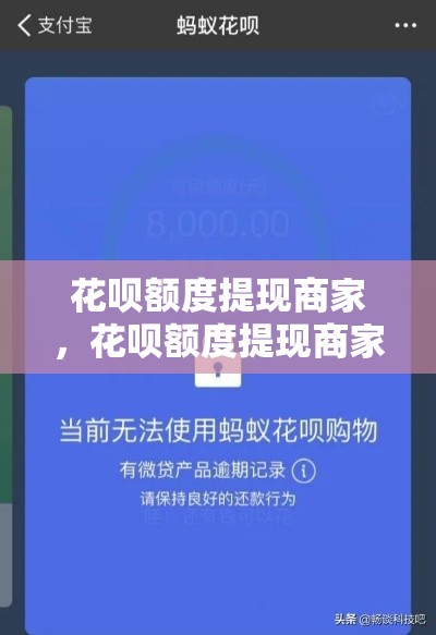 花呗额度提现商家，花呗额度提现商家怎么提现