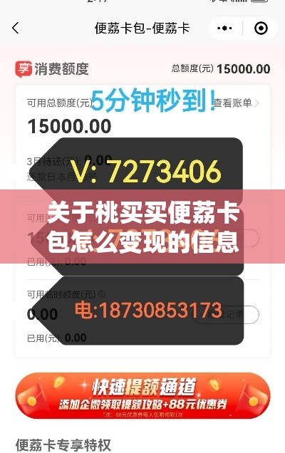 关于桃买买便荔卡包怎么变现的信息