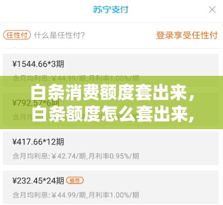 白条消费额度套出来，白条额度怎么套出来,套现方法大集合
