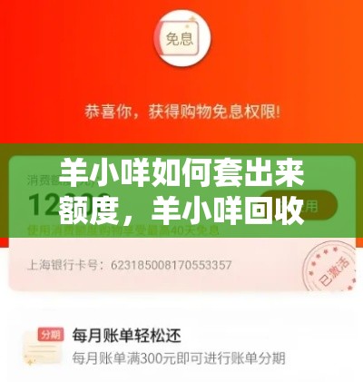 羊小咩如何套出来额度,羊小咩回收商家秒到