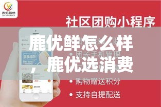 鹿优鲜怎么样，鹿优选消费额度怎么套