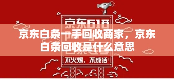 京东白条一手回收商家，京东白条回收是什么意思