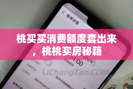 桃买买消费额度套出来，桃桃买房秘籍