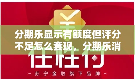 分期乐显示有额度但评分不足怎么套现,分期乐消费额度套出来