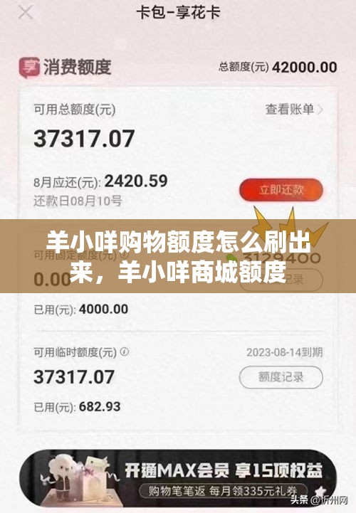 羊小咩购物额度怎么刷出来，羊小咩商城额度