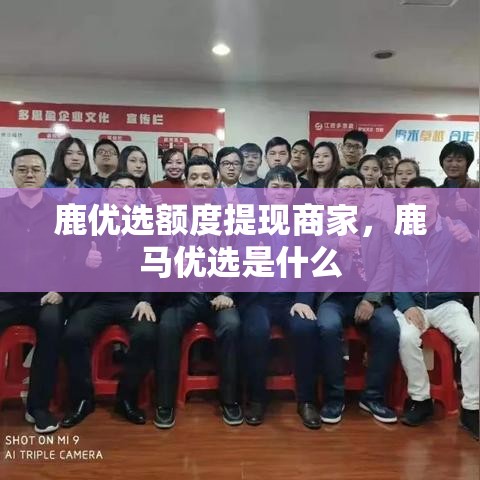 鹿优选额度提现商家，鹿马优选是什么