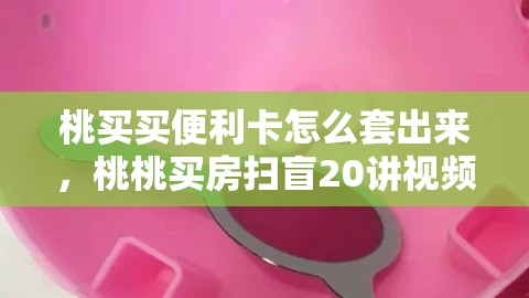 桃买买便利卡怎么套出来，桃桃买房扫盲20讲视频